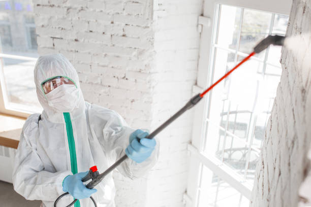 Best Air Quality Testing for Mold Spores  in Bourbon, IN