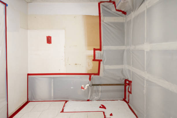 Trusted Bourbon, IN Mold Removal Experts
