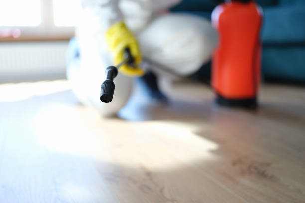 Best Biohazard Mold Removal  in Bourbon, IN