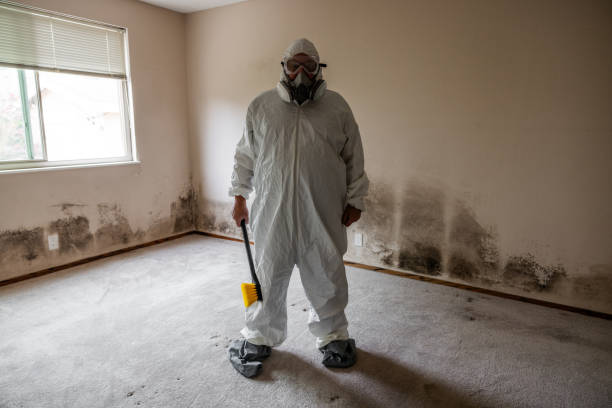 Best Attic Mold Removal  in Bourbon, IN